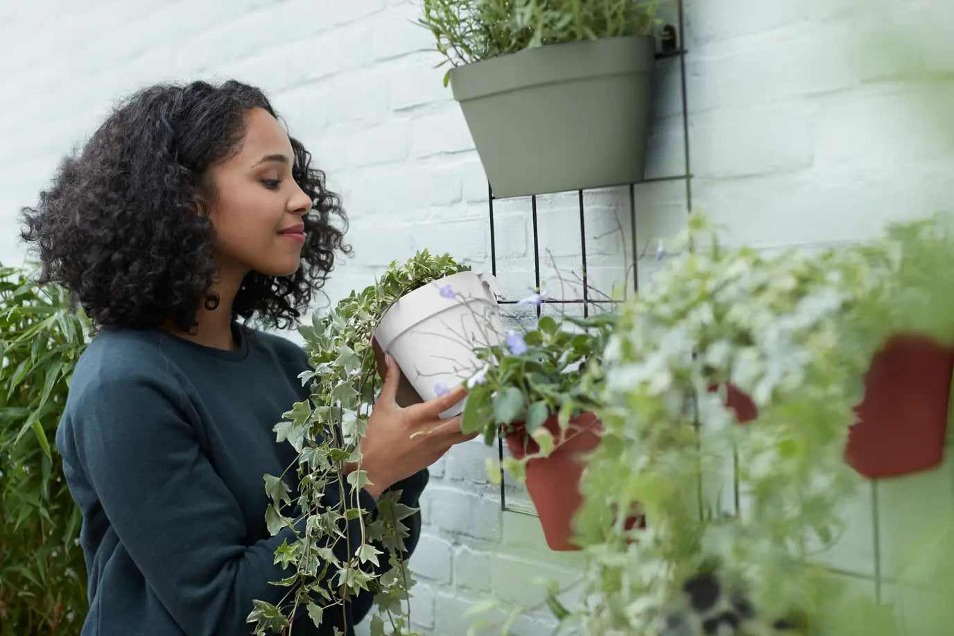 Loft green wall duo /green