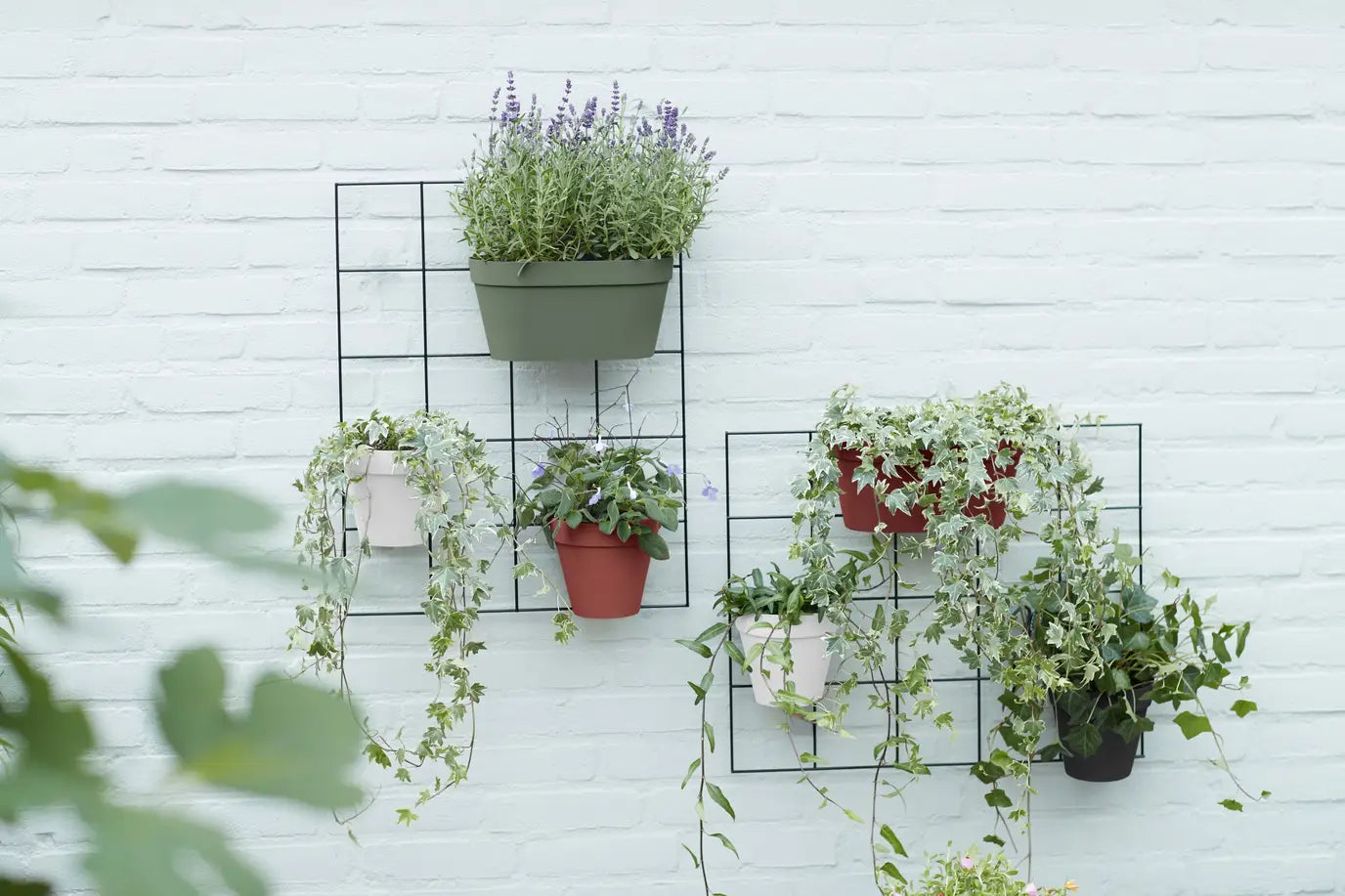 Loft green wall duo /green