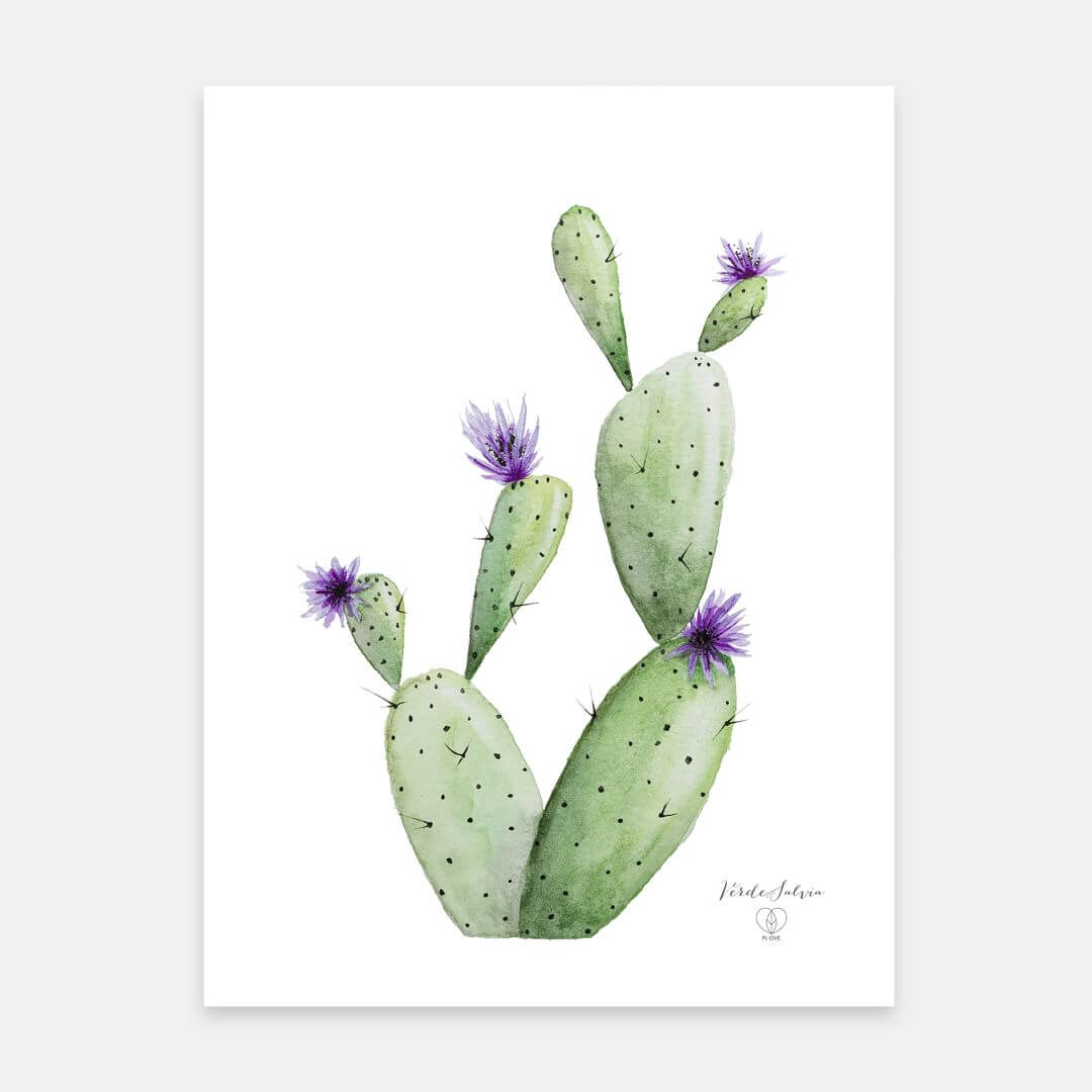 Libro + Stampa botanica