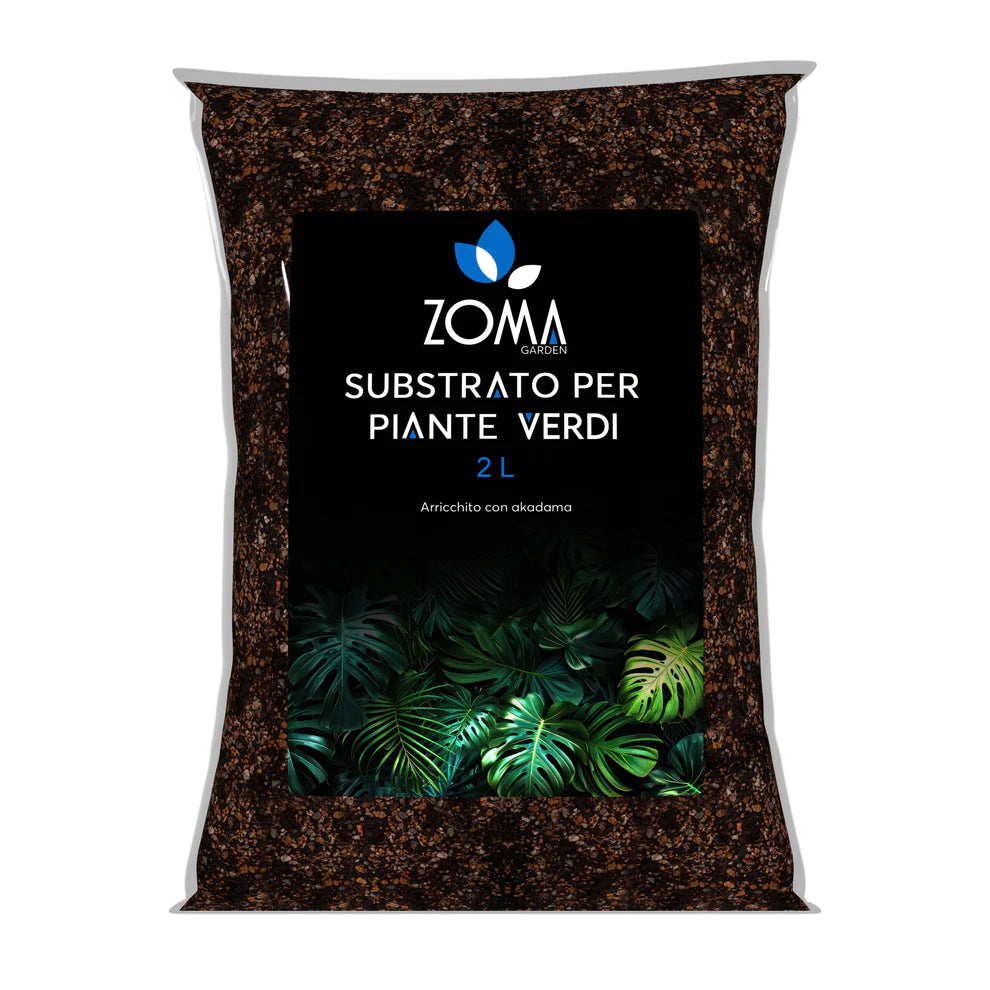 Terriccio per piante verdi