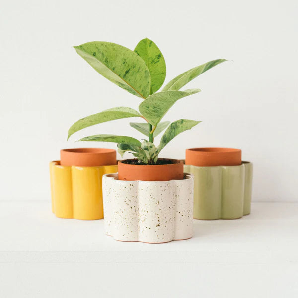 Vaso autoirrigante Paulita - Verde salvia