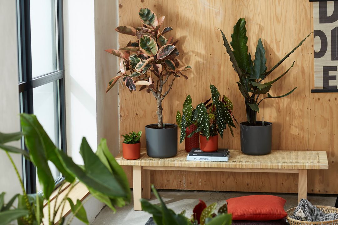 BForSoftRoundAntracite-2