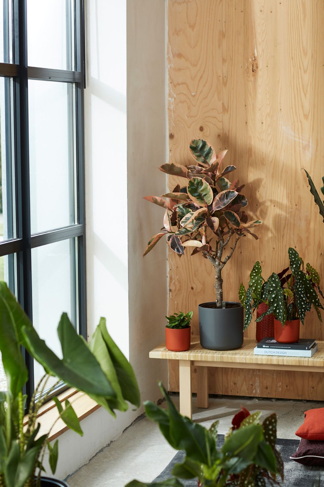 BForSoftRoundAntracite-3