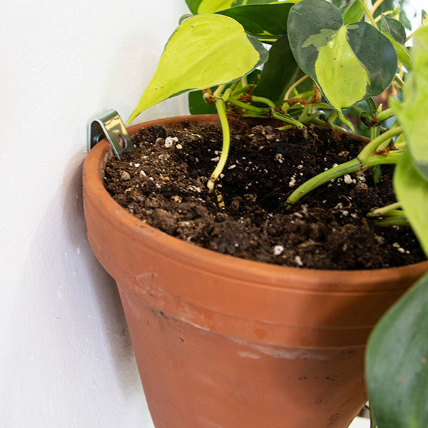 Botanopia-Clippy-wall-hanging-kit-for-plant-pots01