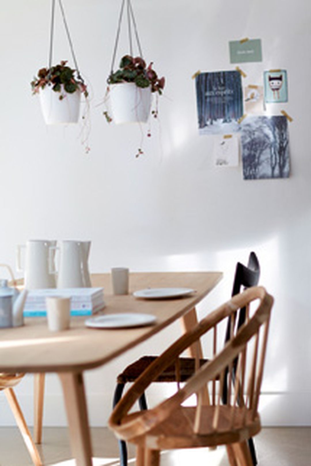 BrusselsHangingBasketWhite-2