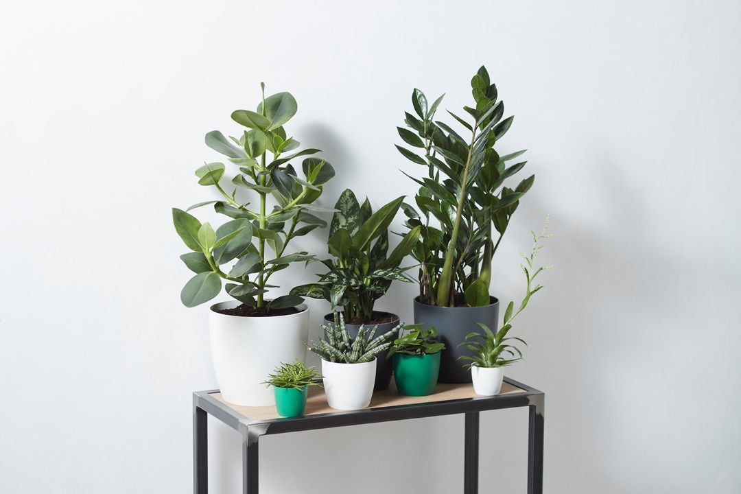 BrusselsRoundAntracite-2