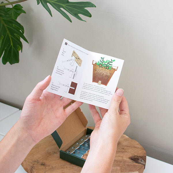 Clippy_Packaging_By-Botanopia-600x6007-1