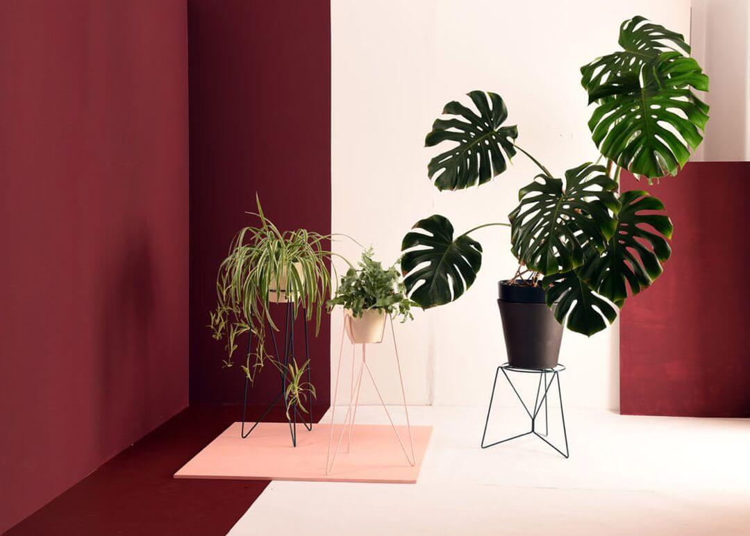 FloSupportoPerPianteBlack-3