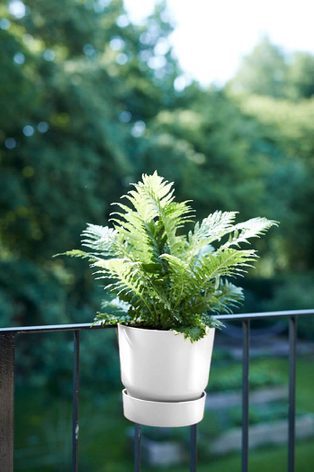 Greenville plant hanger single white 3