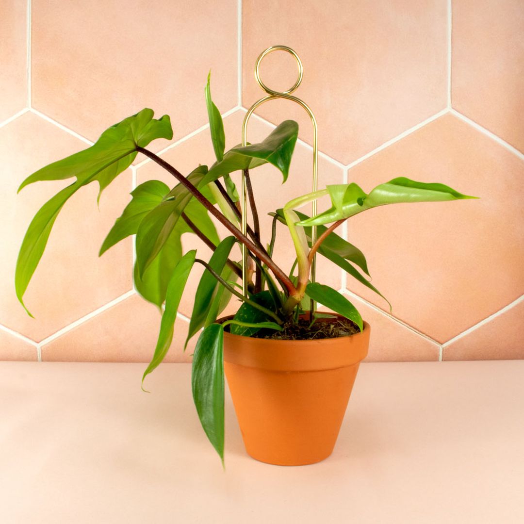 MiniSupportoPomPom-3