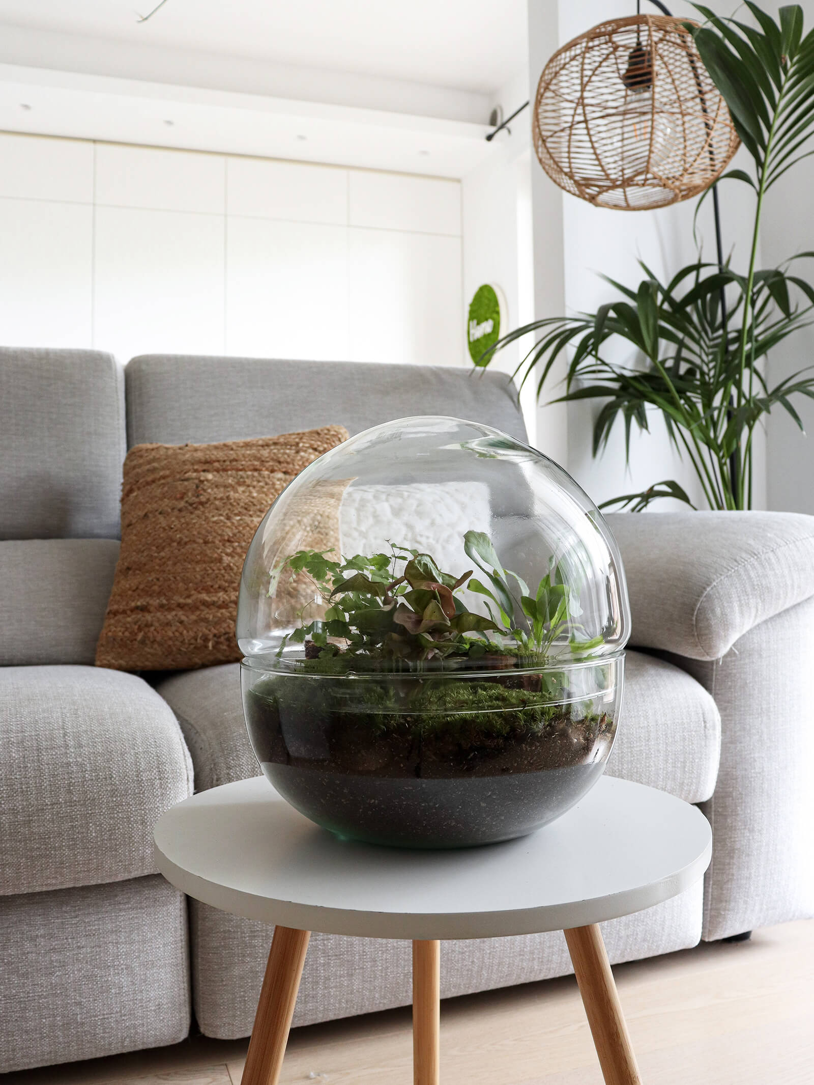 PianetaTerrariumCostaRicaNew-55