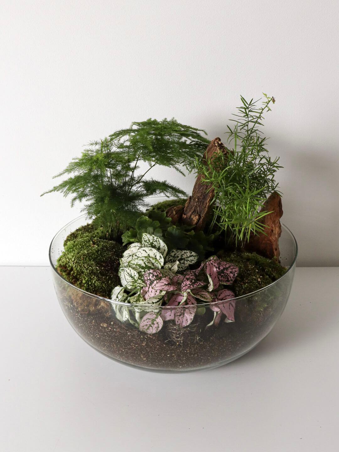 Pianeta_terrarium_Madagascar_3_sfera