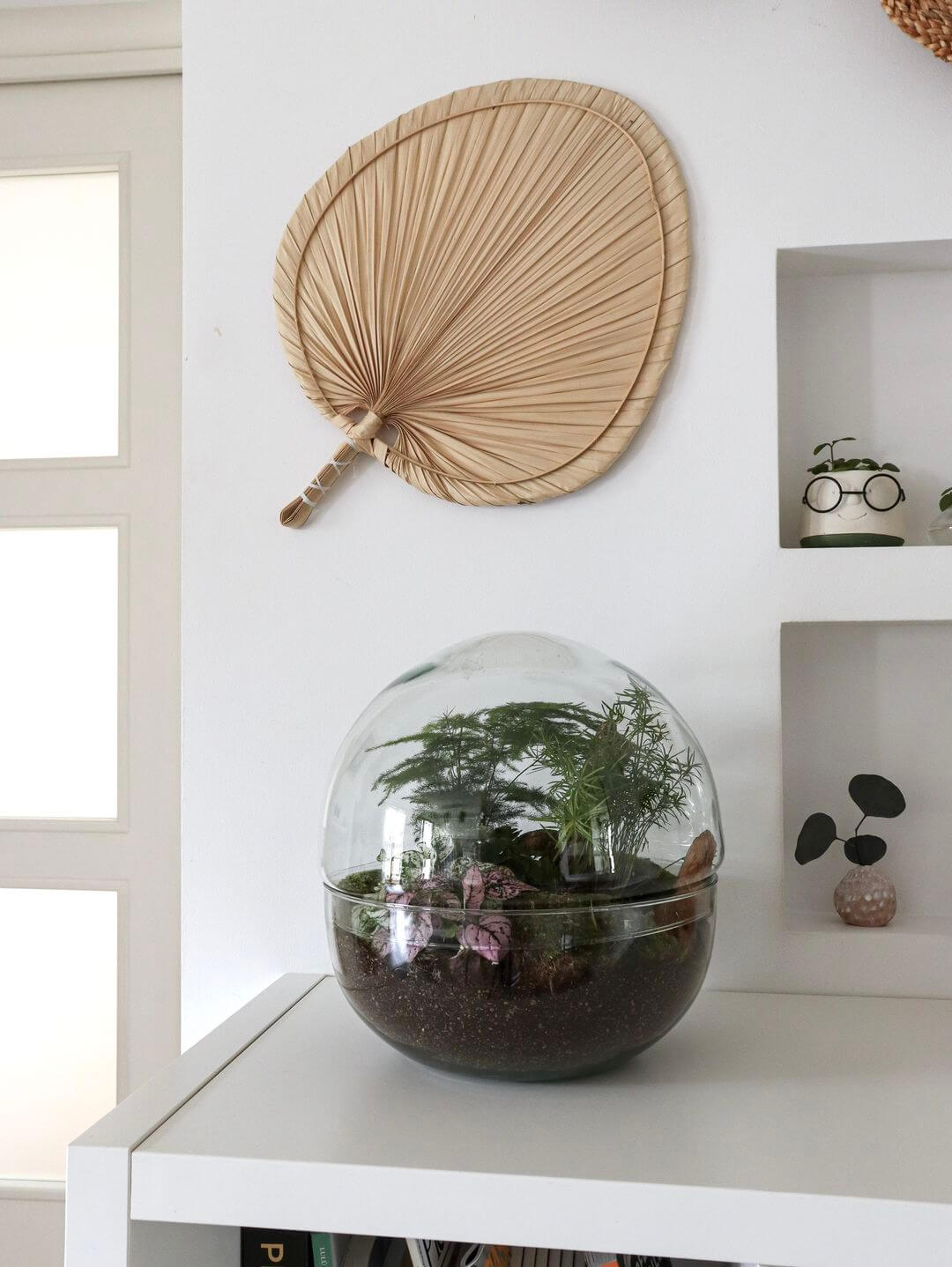 Pianeta_terrarium_Madagascar_4_sfera