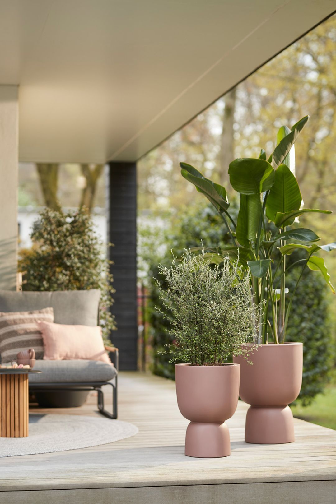 PureCoupeRosyBrown-4