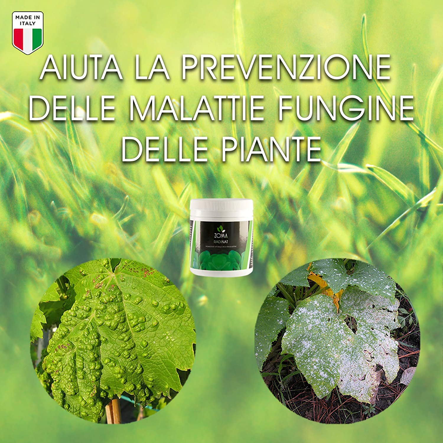 RadinatPolvereRadicantePerTalee-3