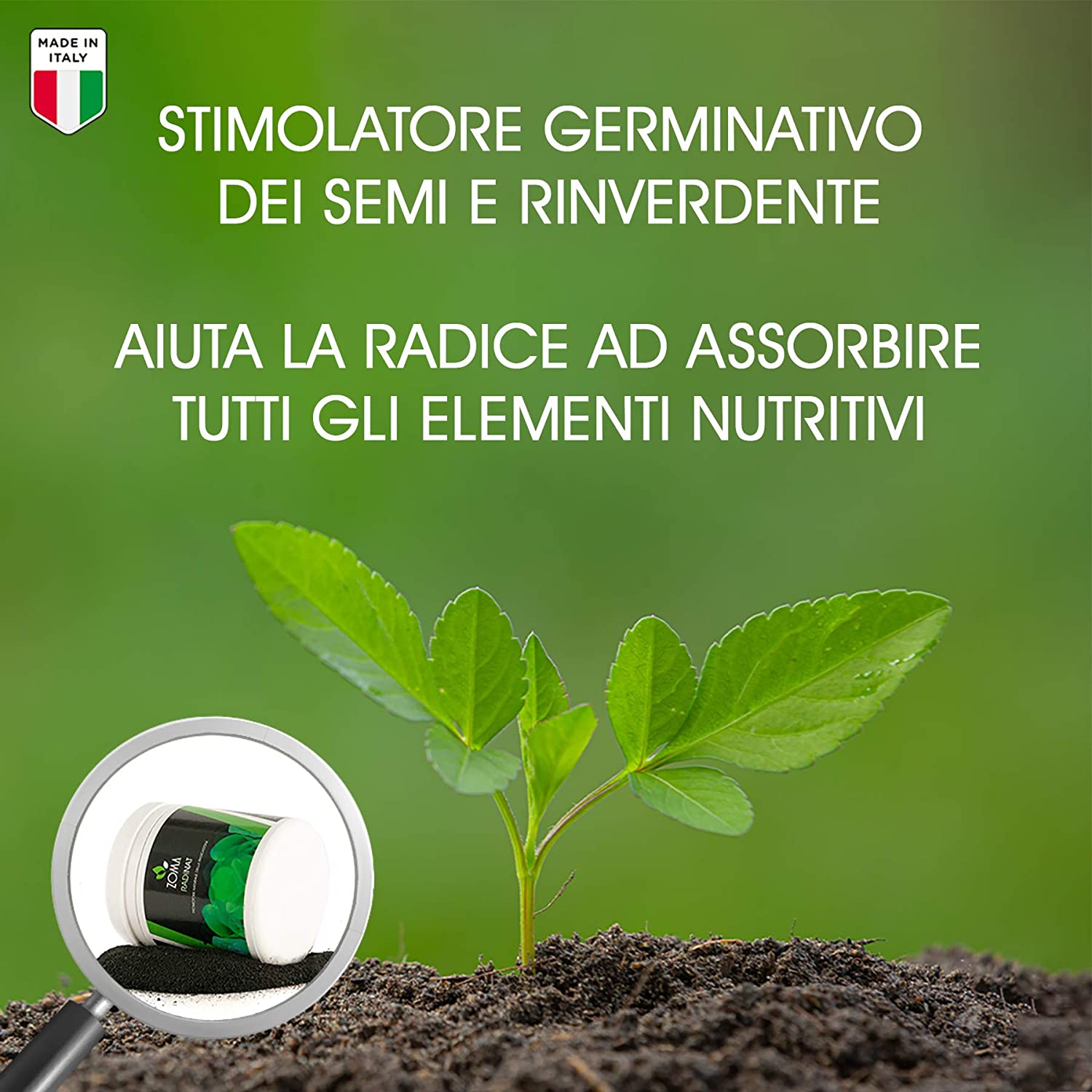 RadinatPolvereRadicantePerTalee-6