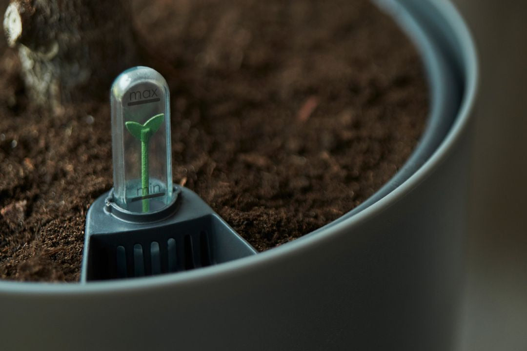 SistemaAutoirrigante-2