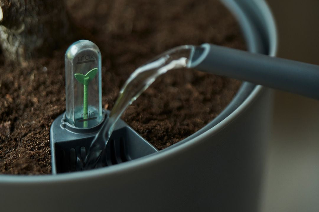 SistemaAutoirrigante-3