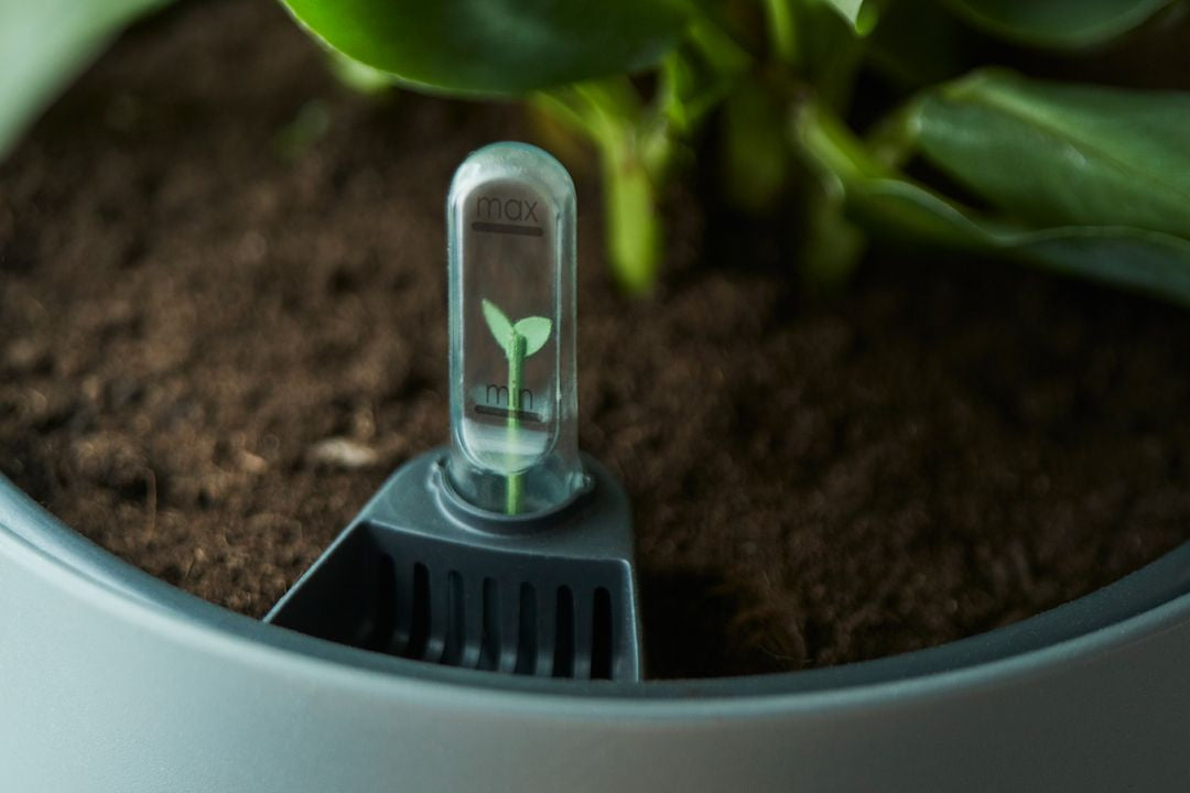 SistemaAutoirrigante-4