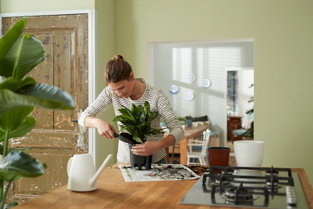 SistemaAutoirrigante-5