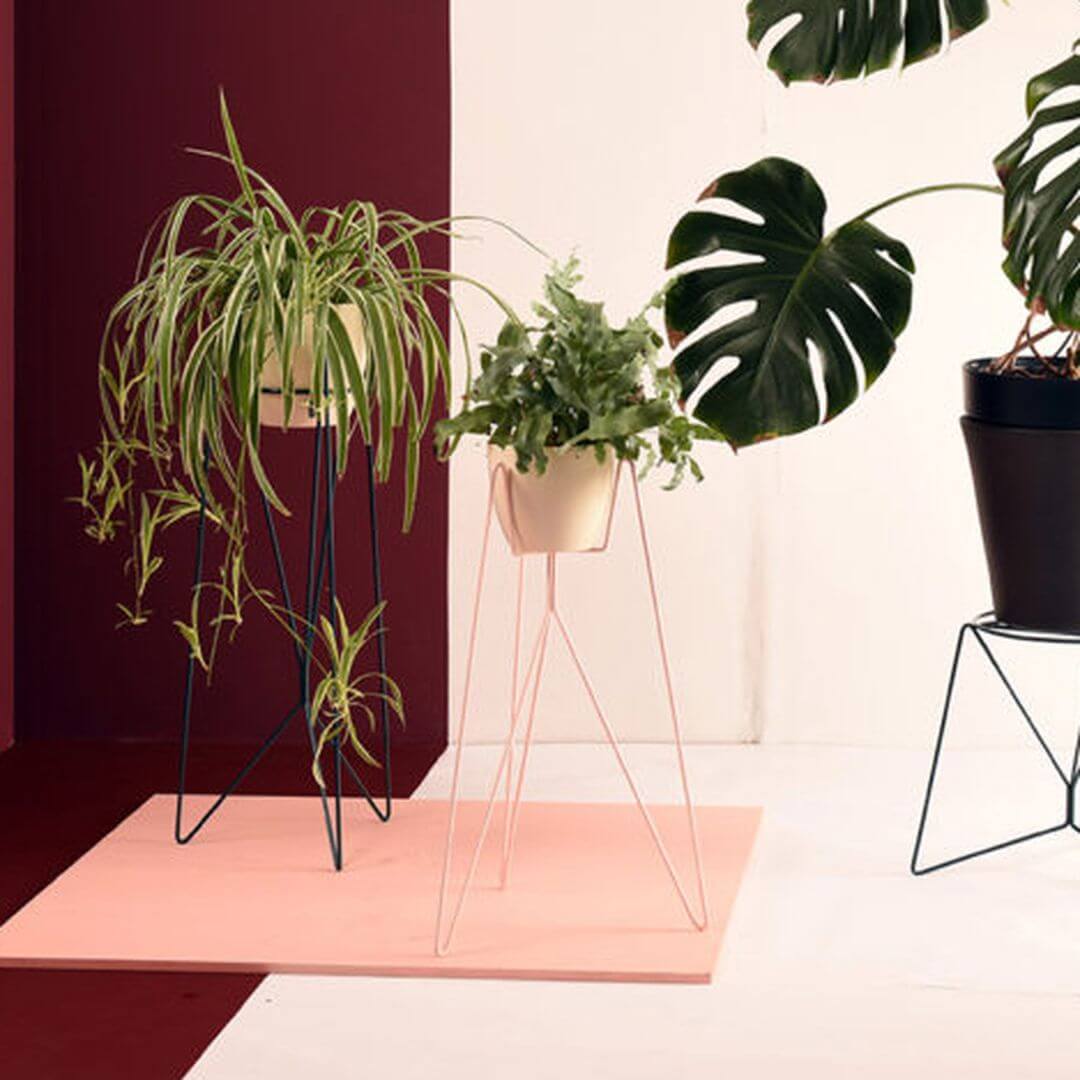 SuSupportoPerPiantePink (1)