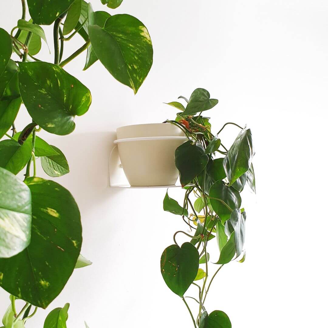 SuSupportoPerPianteWhite-2