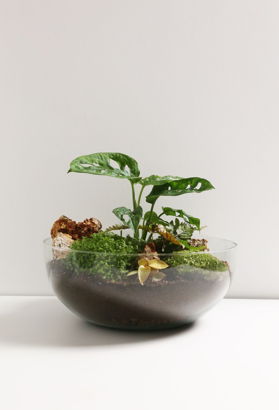 TerrarioSferaMessico-3