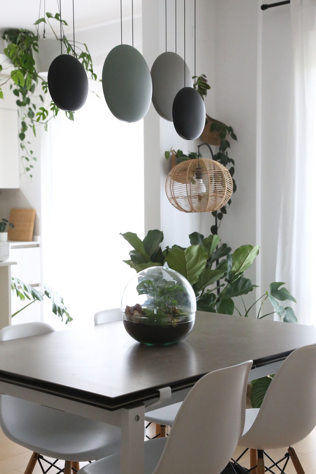 TerrarioSferaMessico-4