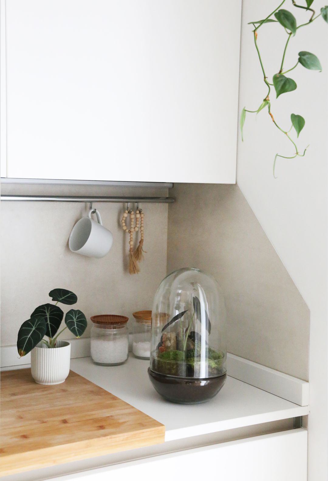 TerrarioUovoMalesia-4