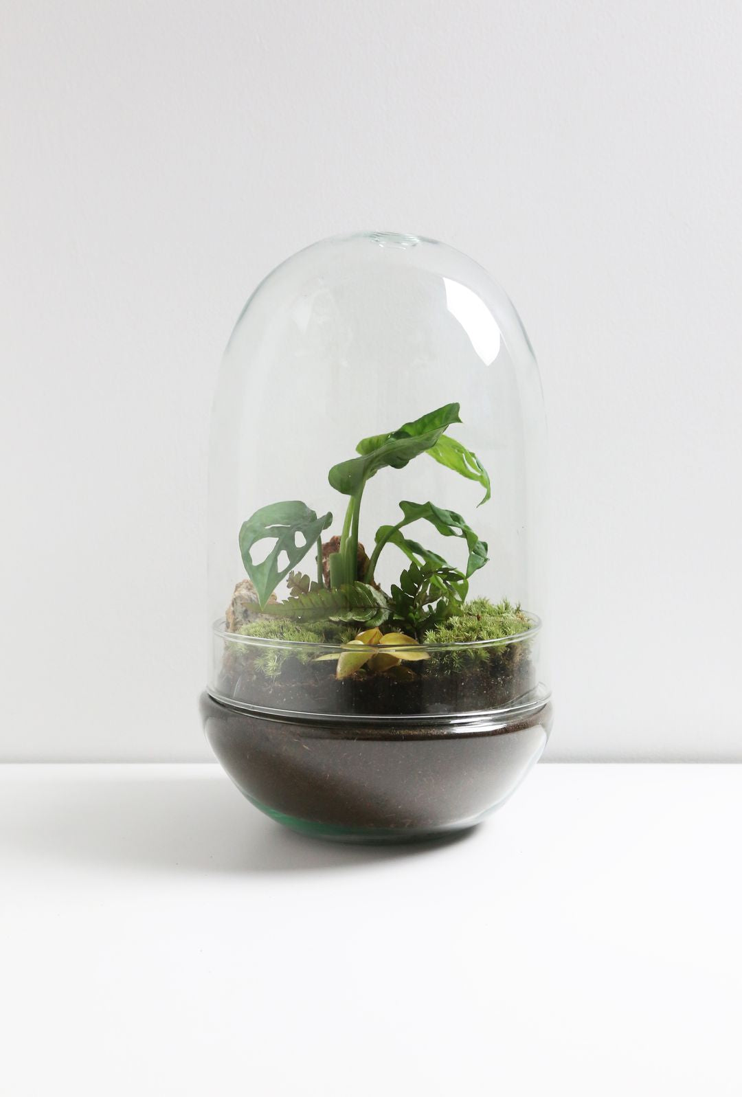 TerrarioUovoMessico-1