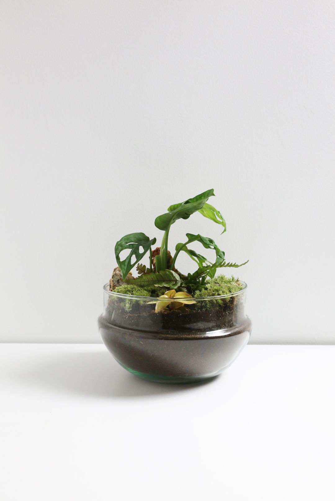 TerrarioUovoMessico-2