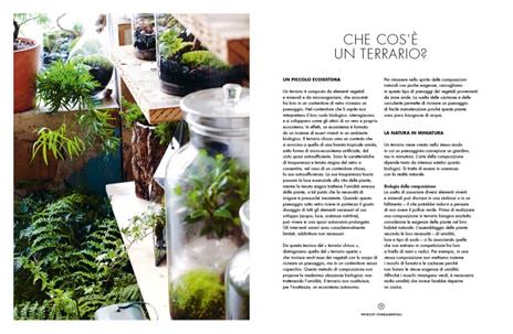 TerrariumMondiVegetaliSottoVetro-3