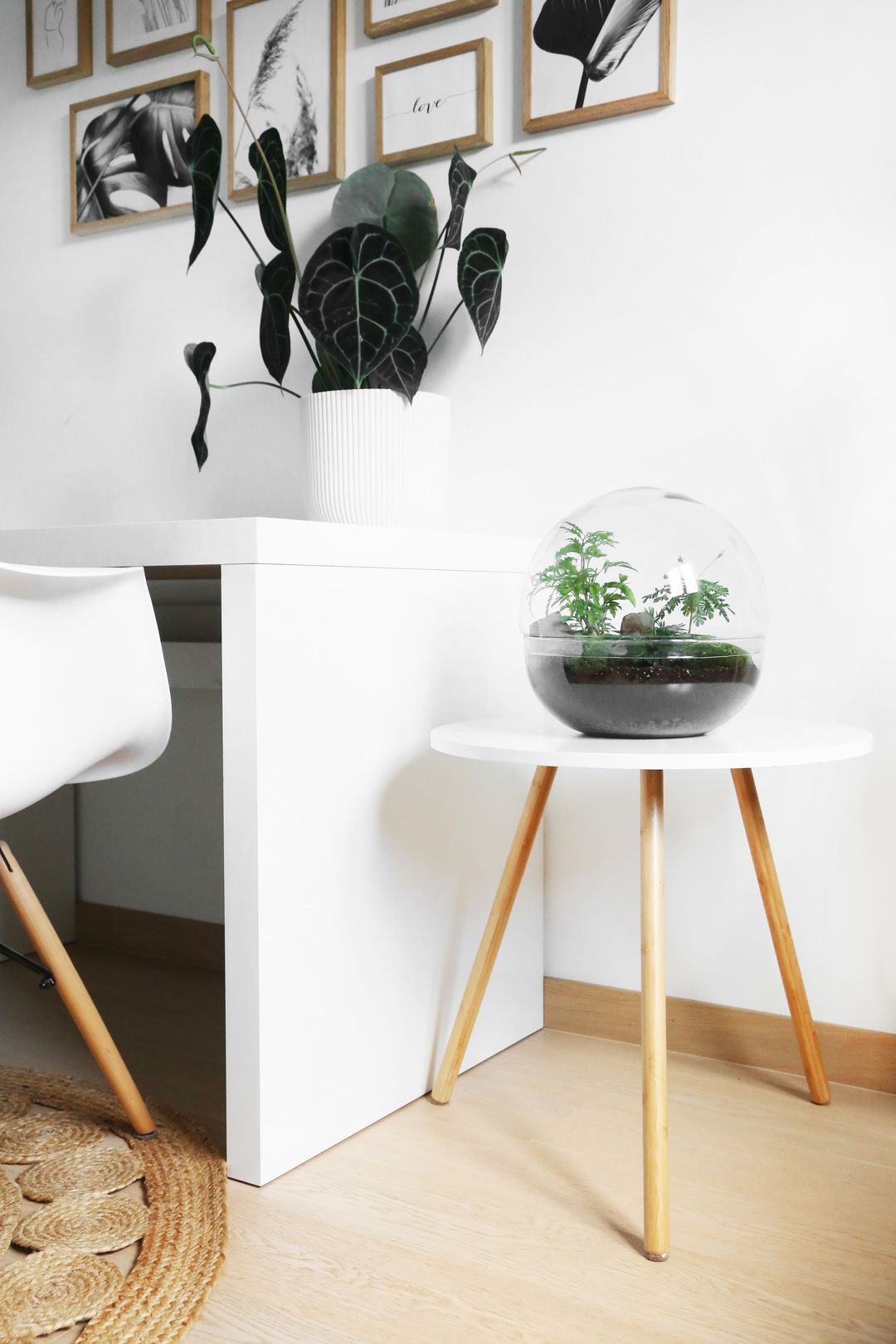 TerrariumSferaIndia-4