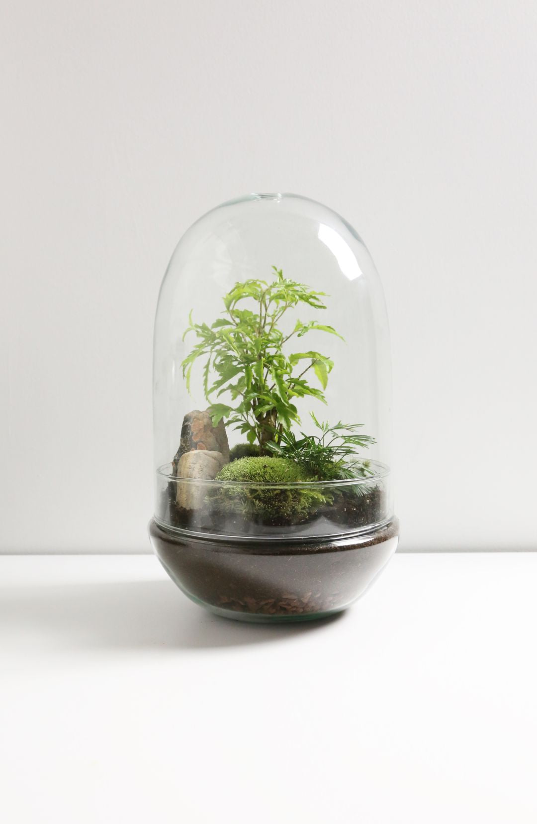 TerrariumUovoIndia-1