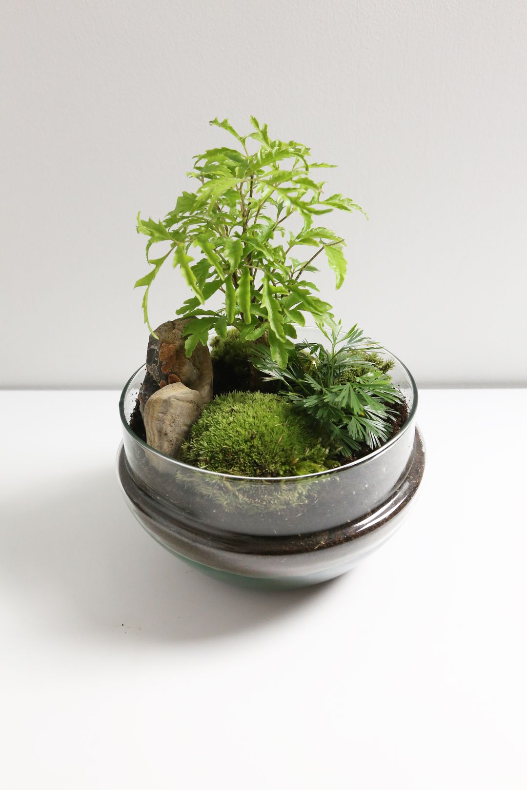 TerrariumUovoIndia-2