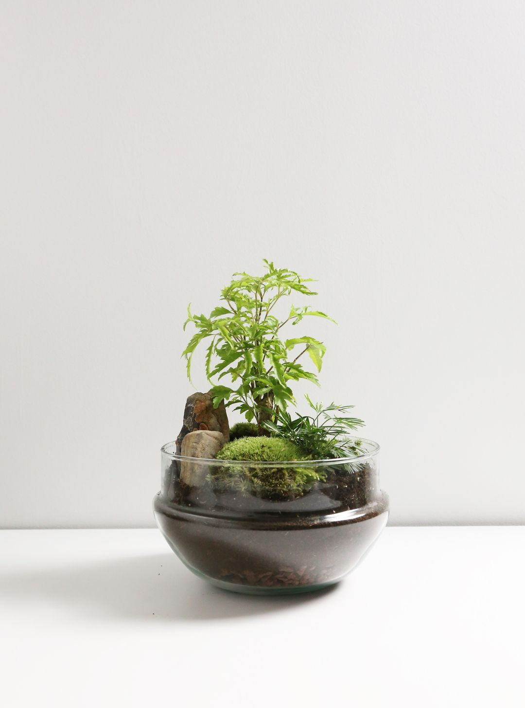 TerrariumUovoIndia-3