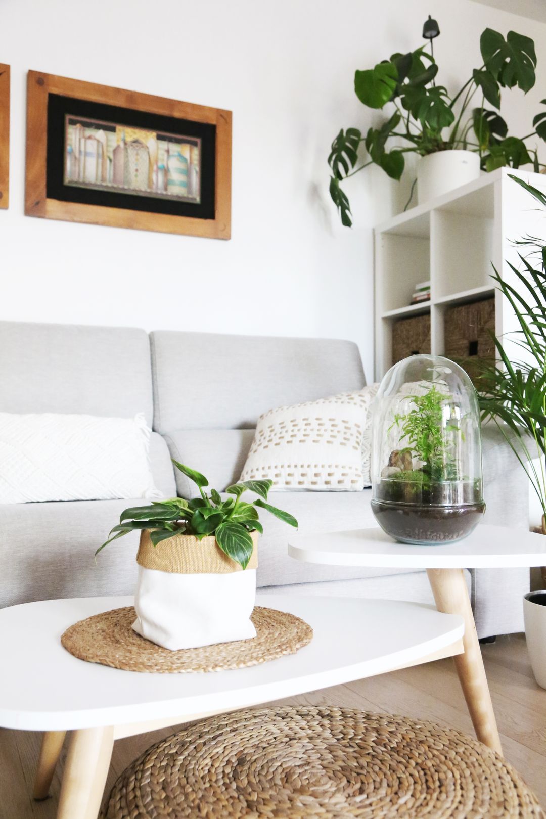 TerrariumUovoIndia-4