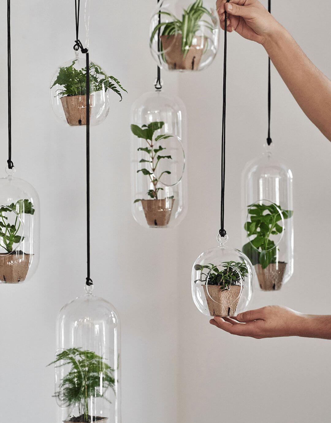 VasiHangingGlass-1