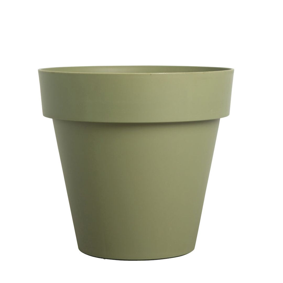 VasoBrixtonOliva-1