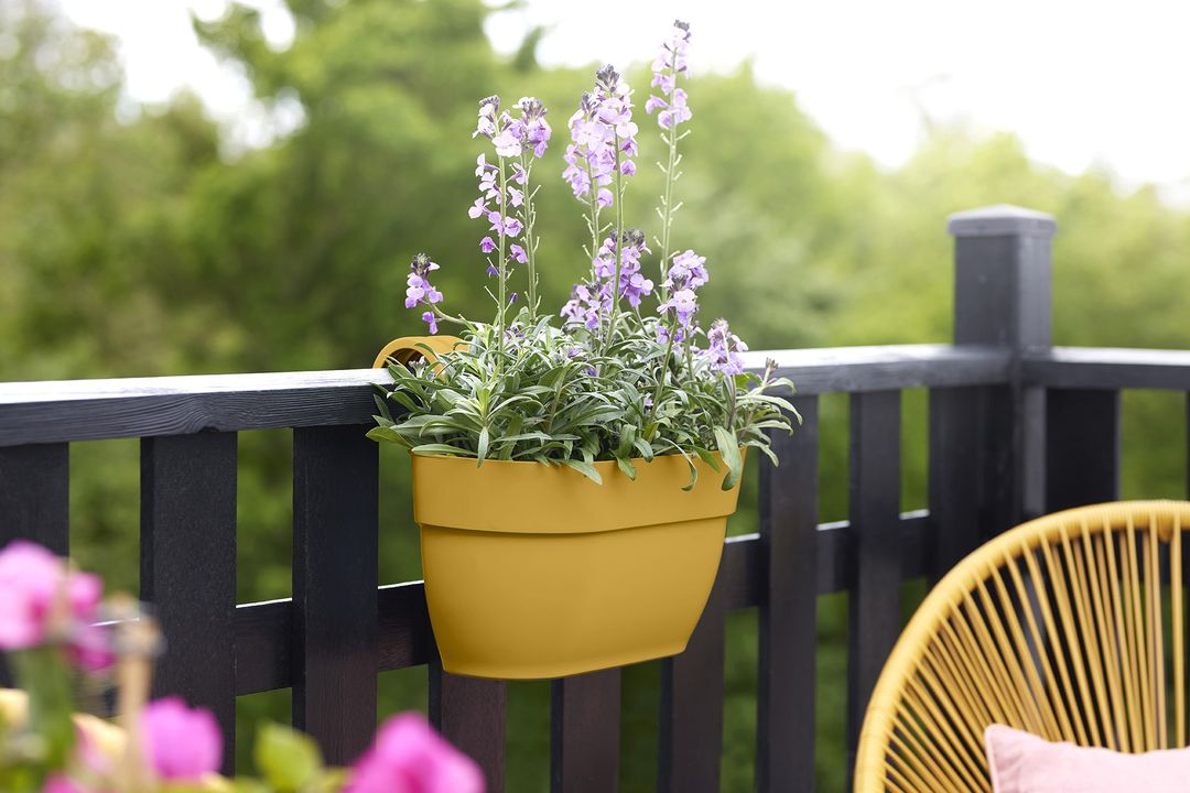 Vibia Campana easy hanger M honey yellow 4