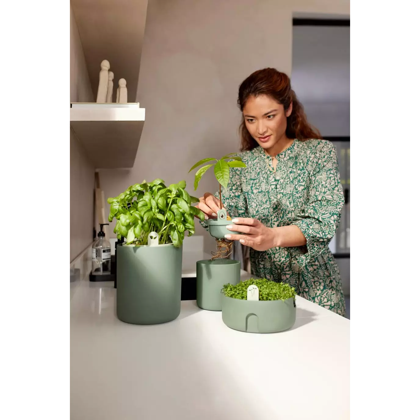 amazing_avocado_pot_leaf_green.i1