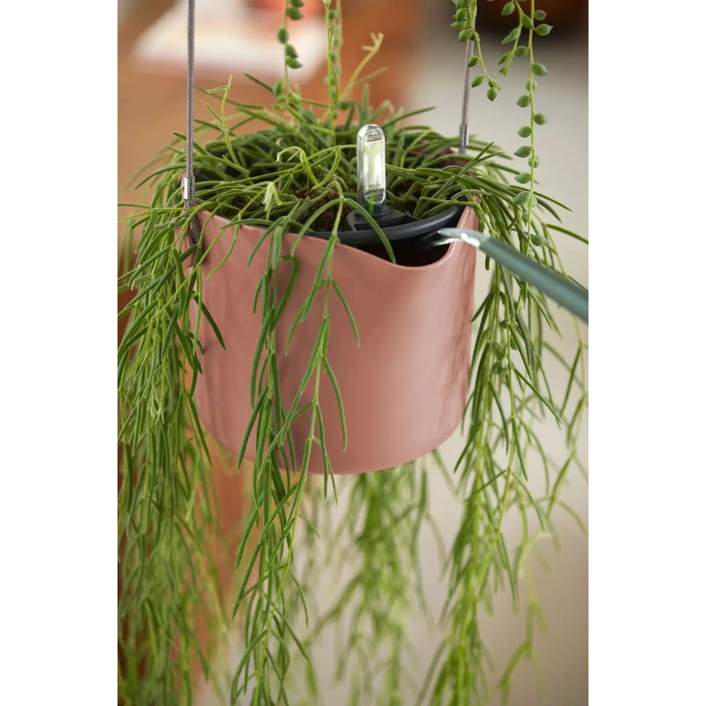 b.for_swing_delicate_pink.i3