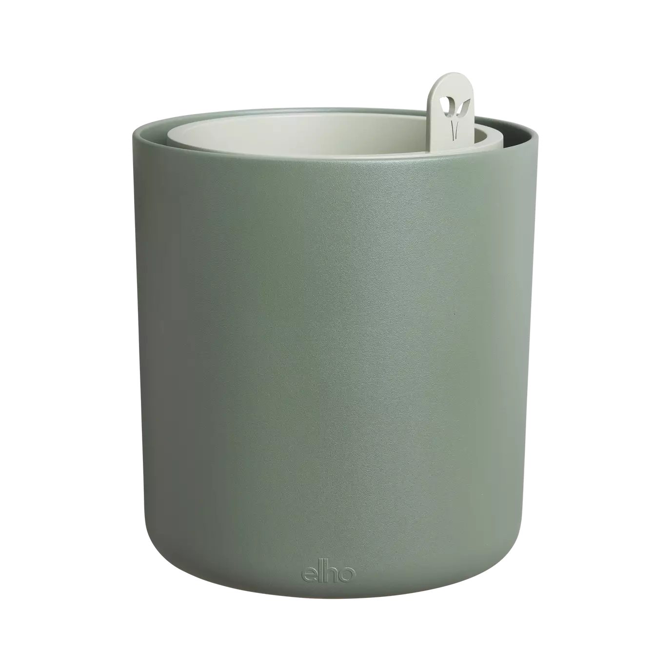 bouncy_basil_leaf_green.s1