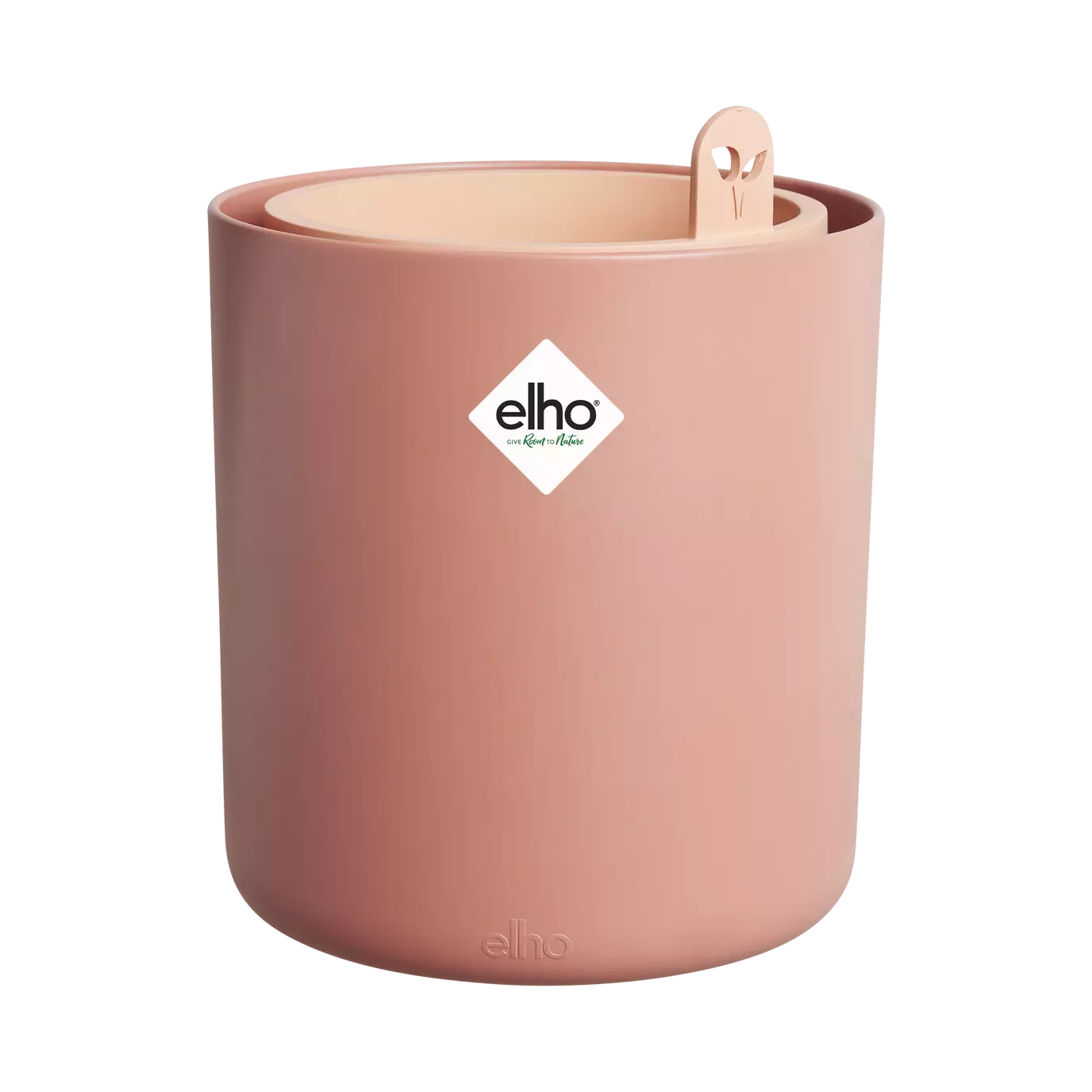 bouncy_basil_toffee_terra.p1