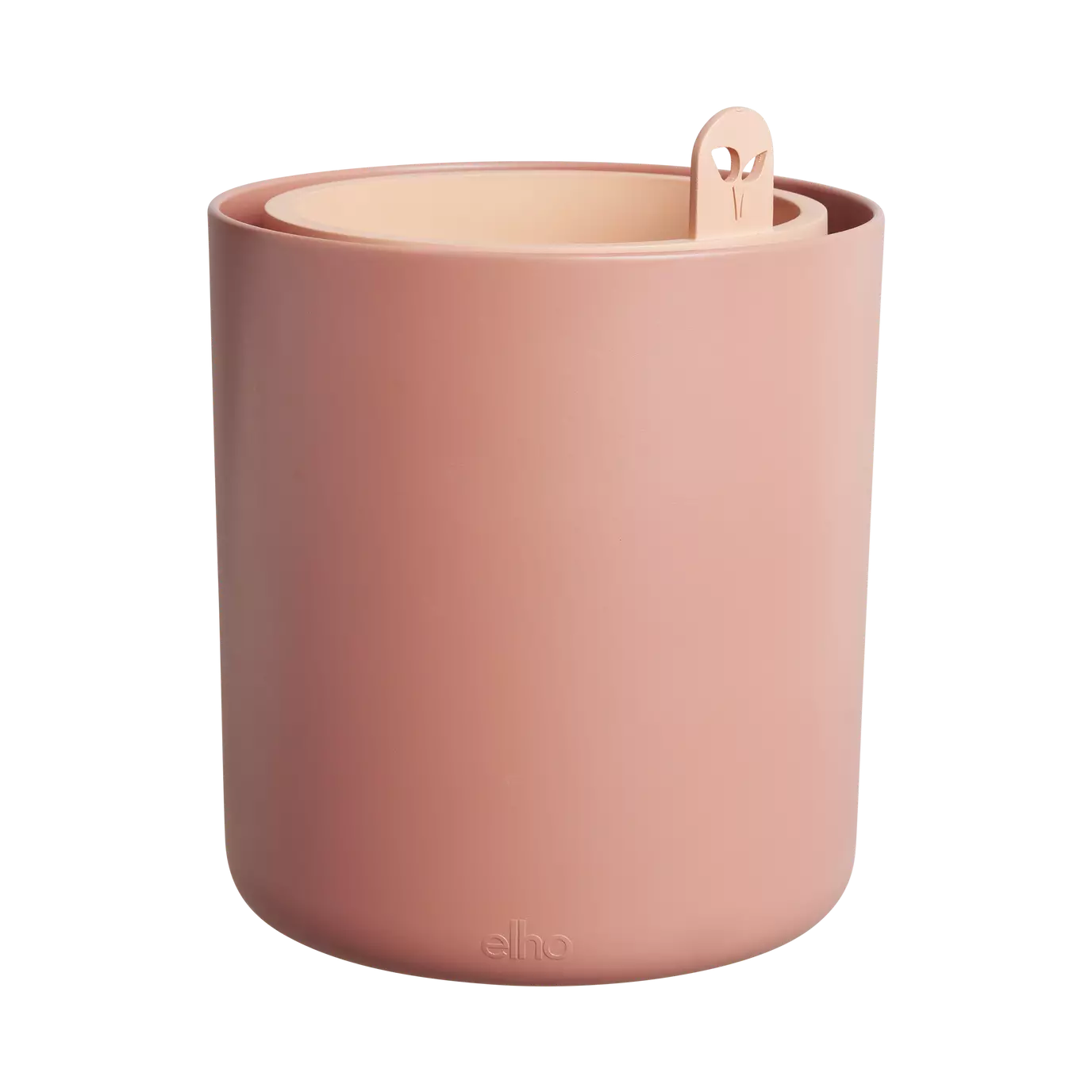 bouncy_basil_toffee_terra.s1