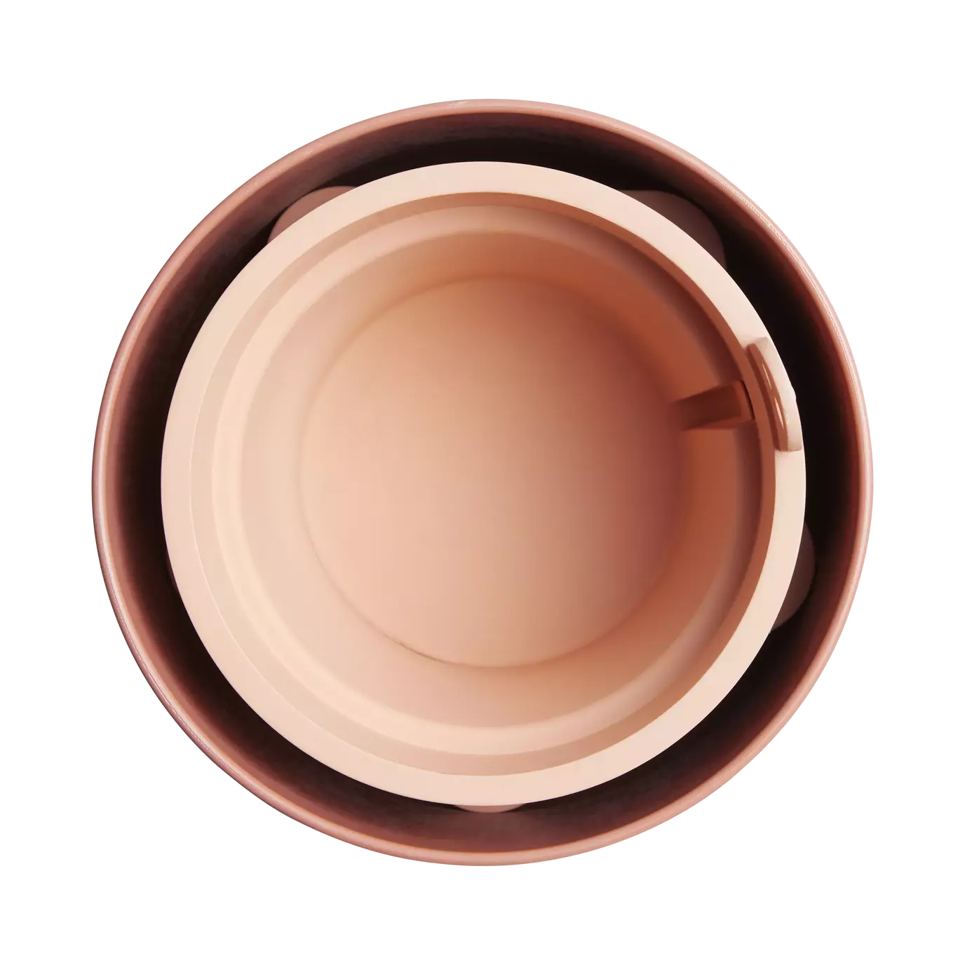 bouncy_basil_toffee_terra.t1