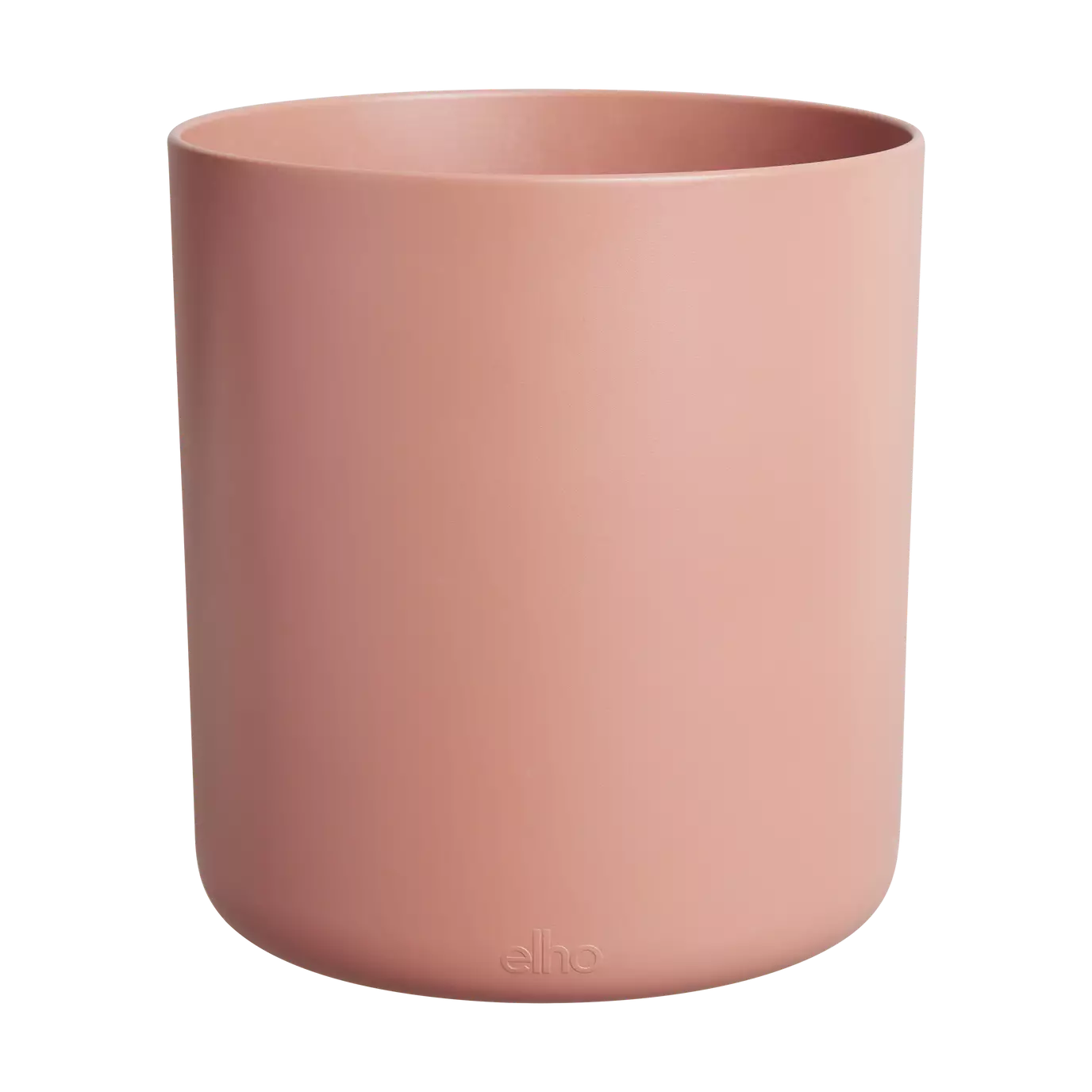 bouncy_basil_toffee_terra.u1