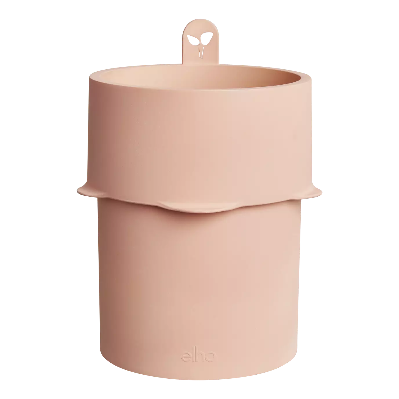 bouncy_basil_toffee_terra.u2