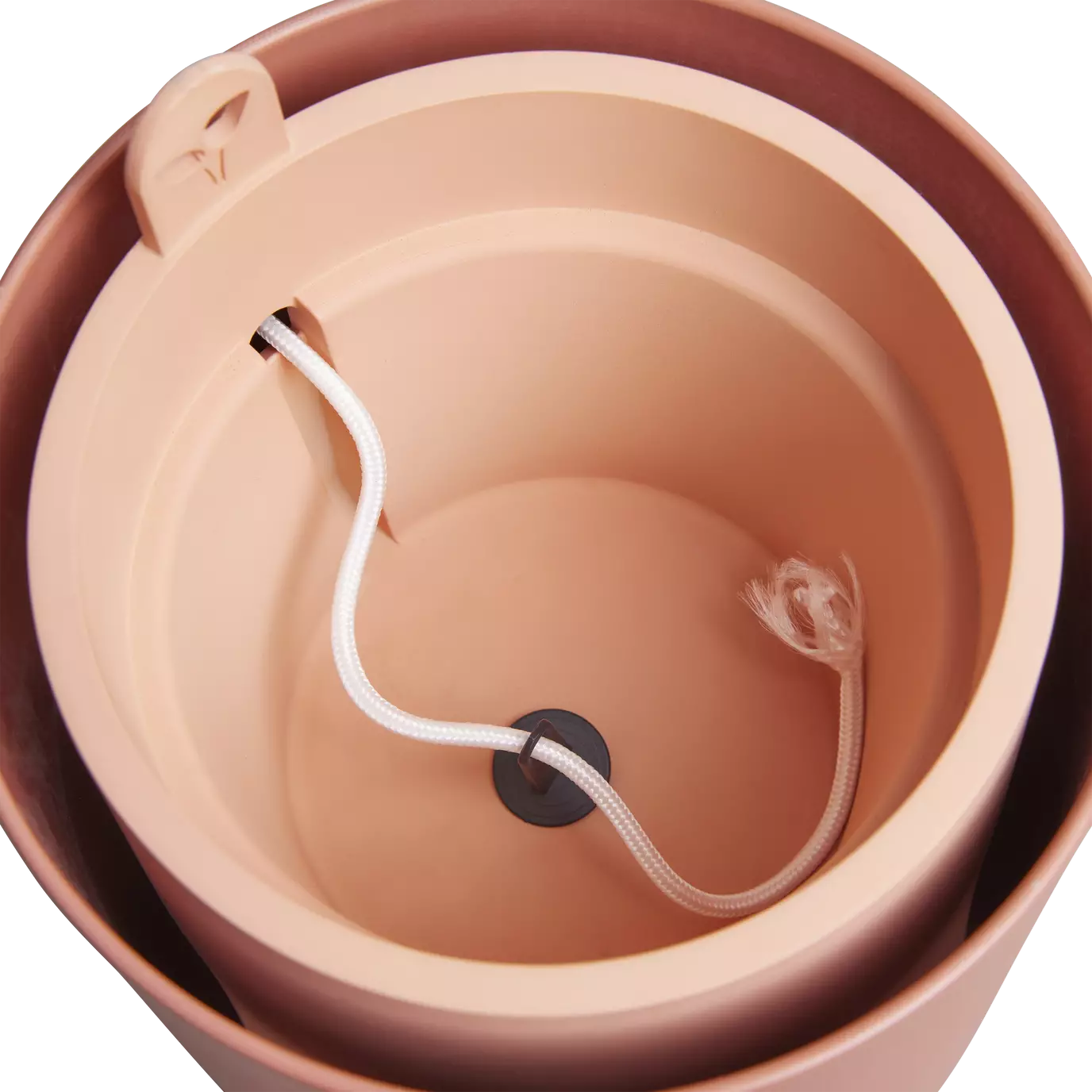 bouncy_basil_toffee_terra.u4