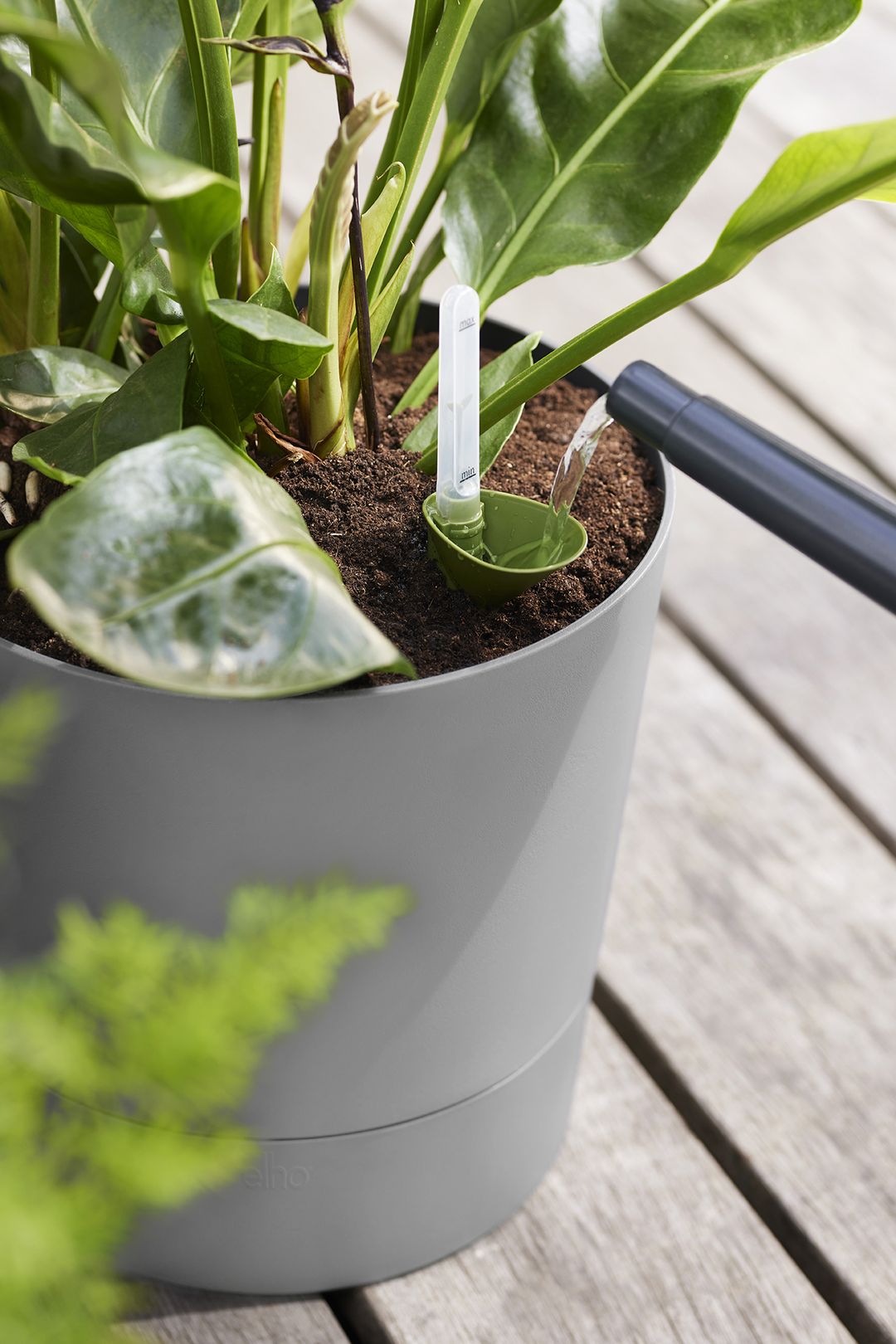 greensense aqua care round1